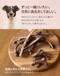 画像3: ペット用／天然鹿のあばら骨 (3)