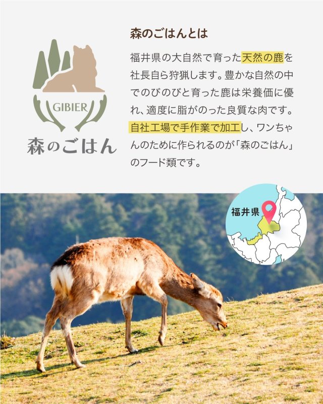 画像4: ペット用／天然鹿のあばら骨 (4)