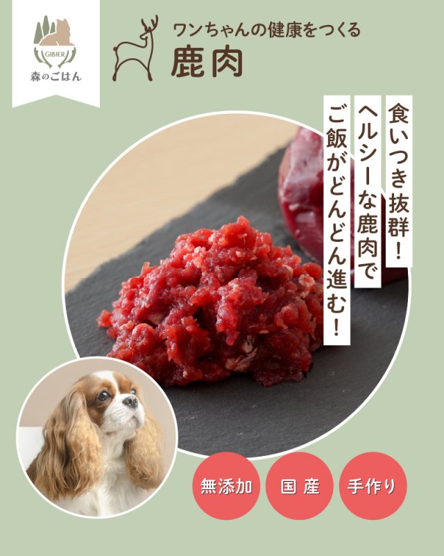 画像2: わんちゃん用／鹿肉 生肉 ミンチ あらびき ブロック 1〜10kg (2)