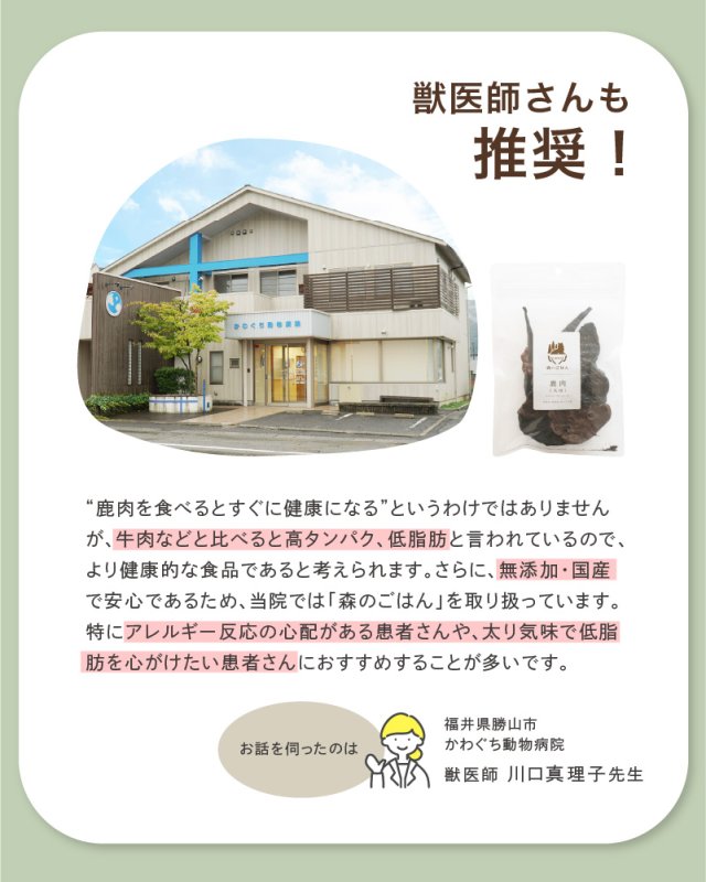 画像6: わんちゃん用／鹿肉 生肉 ミンチ あらびき ブロック 1〜10kg (6)