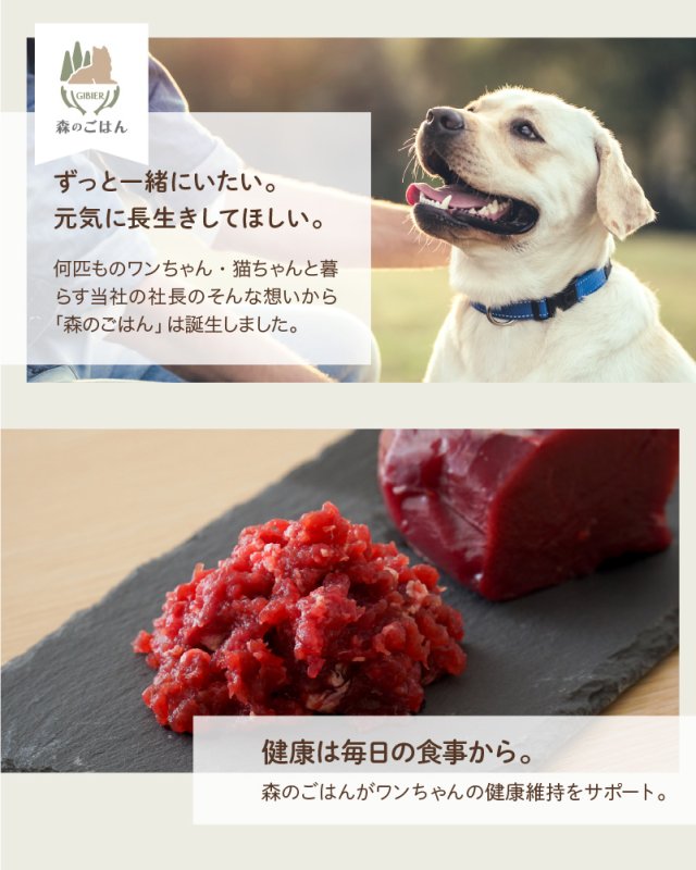 画像9: わんちゃん用／鹿肉 生肉 ミンチ あらびき ブロック 1〜10kg (9)