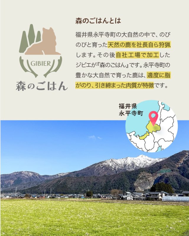 画像10: わんちゃん用／鹿肉 生肉 ミンチ あらびき ブロック 1〜10kg (10)