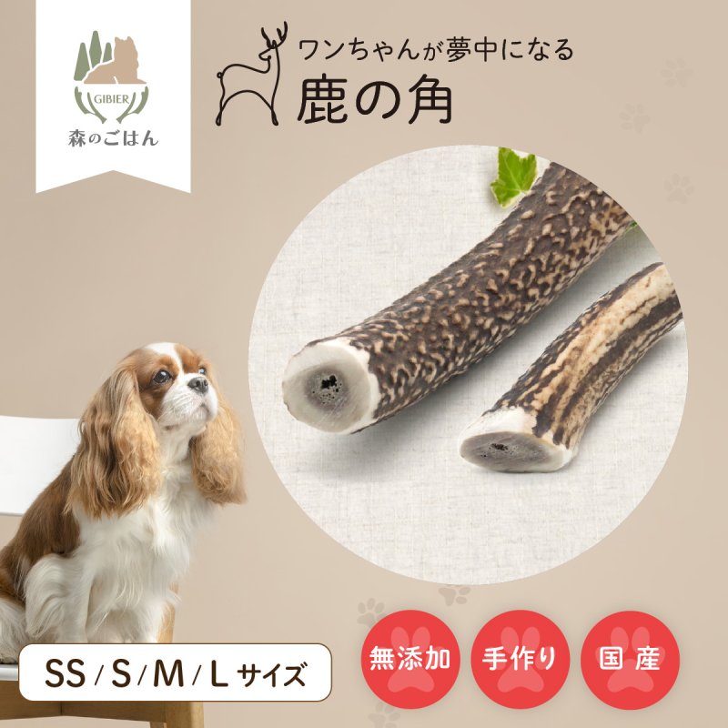 画像1: 天然鹿の角 (1)