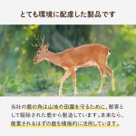 画像3: 天然鹿の角 (3)