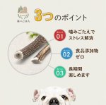 画像5: 天然鹿の角 (5)