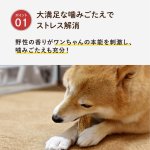 画像6: 天然鹿の角 (6)