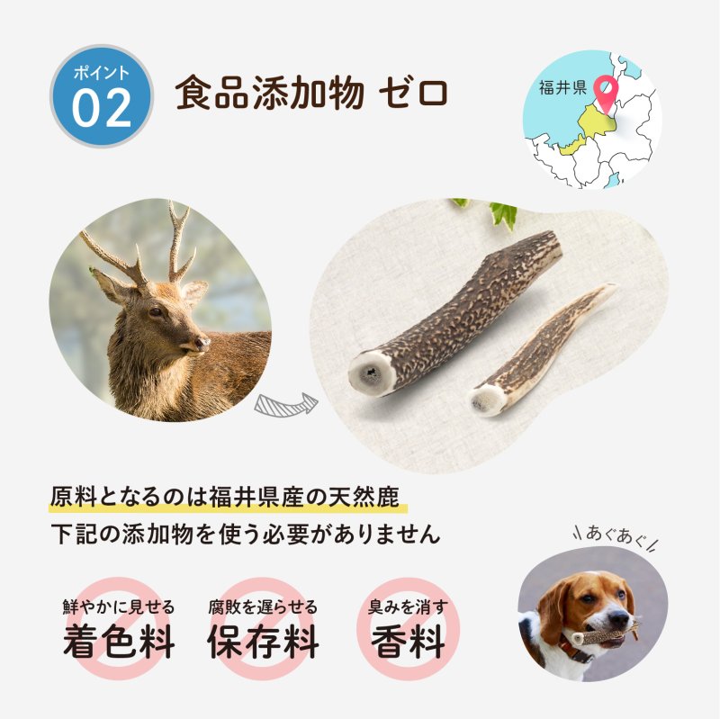 画像7: 天然鹿の角 (7)