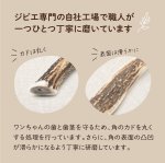 画像9: 天然鹿の角 (9)