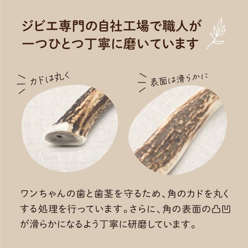 画像9: 天然鹿の角 (9)