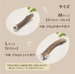 画像11: 天然鹿の角 (11)