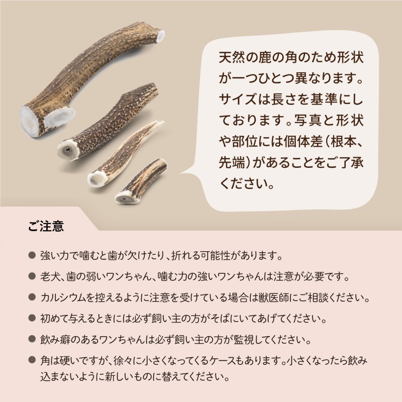 画像12: 天然鹿の角 (12)