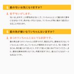 画像14: 天然鹿の角 (14)