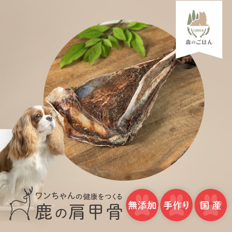 画像1: ペット用／鹿の肩甲骨 (1)