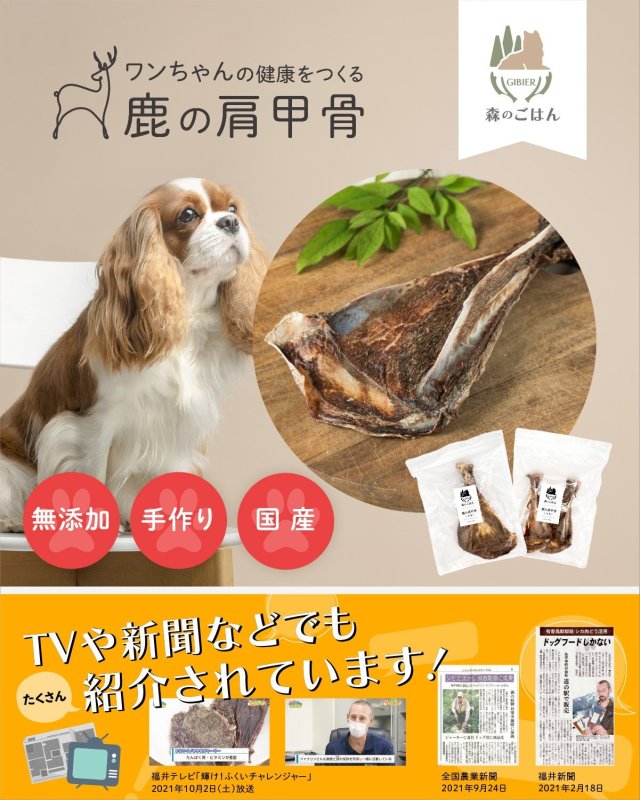 画像2: ペット用／鹿の肩甲骨 (2)