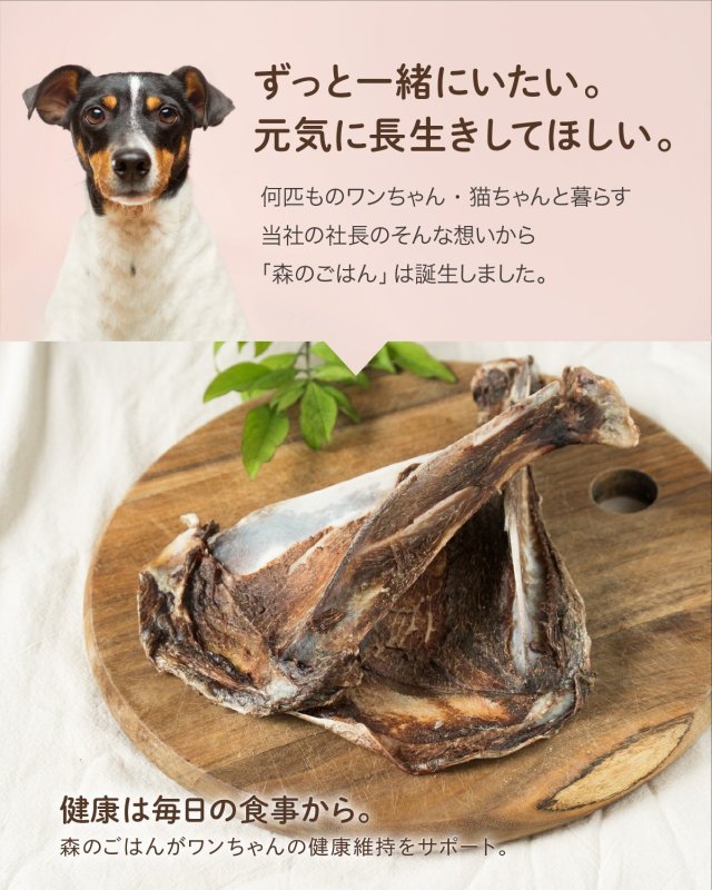 画像3: ペット用／鹿の肩甲骨 (3)