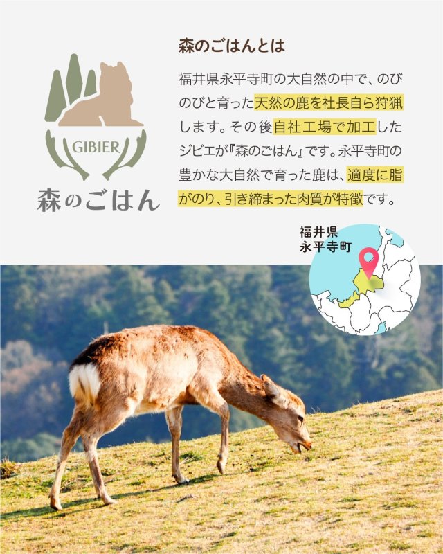 画像4: ペット用／鹿の肩甲骨 (4)