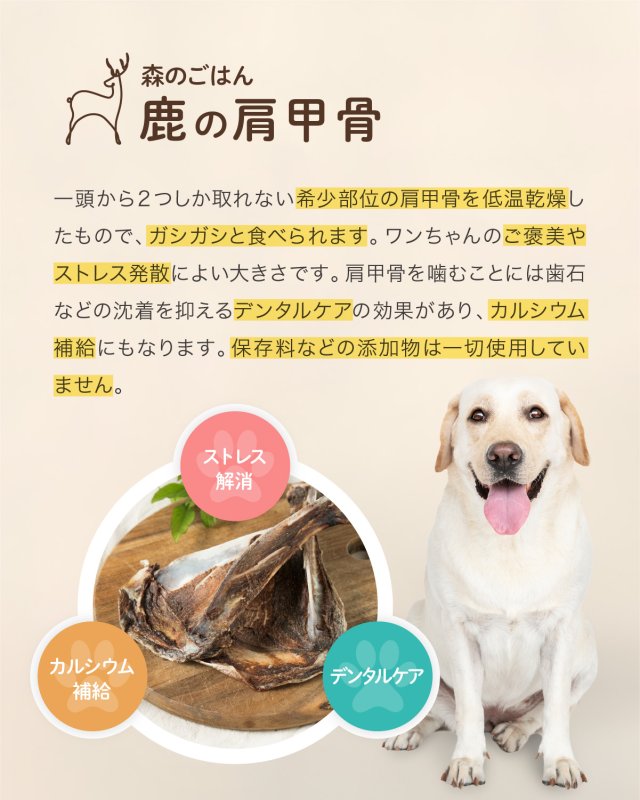 画像5: ペット用／鹿の肩甲骨 (5)