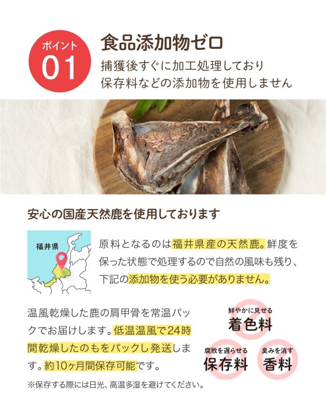 画像7: ペット用／鹿の肩甲骨 (7)