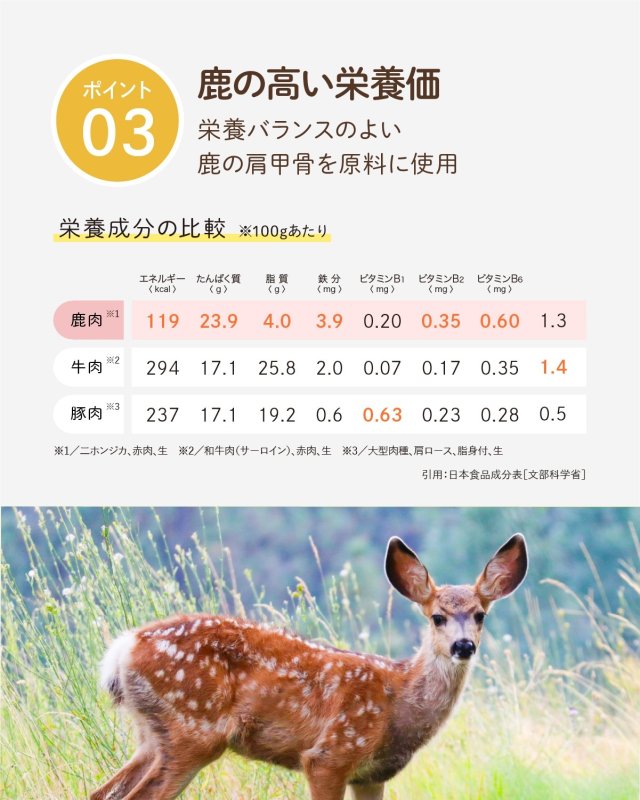 画像9: ペット用／鹿の肩甲骨 (9)