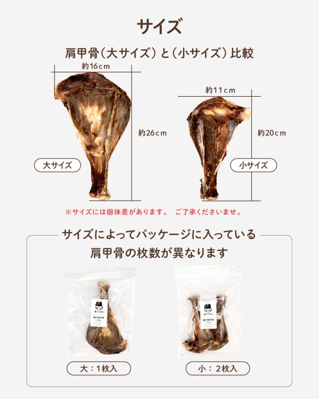 画像10: ペット用／鹿の肩甲骨 (10)