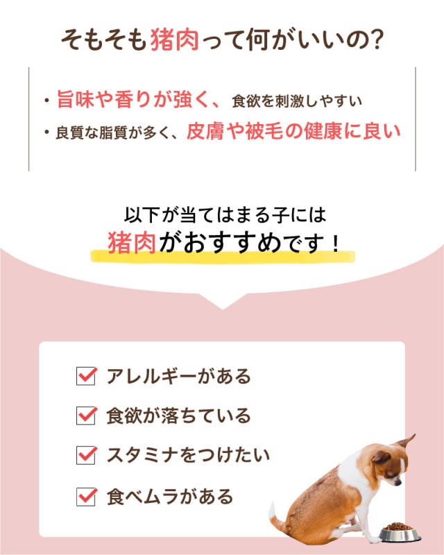 画像5: わんちゃん用／猪肉 生肉ミンチ 生肉ブロック 1kg〜10kg (5)