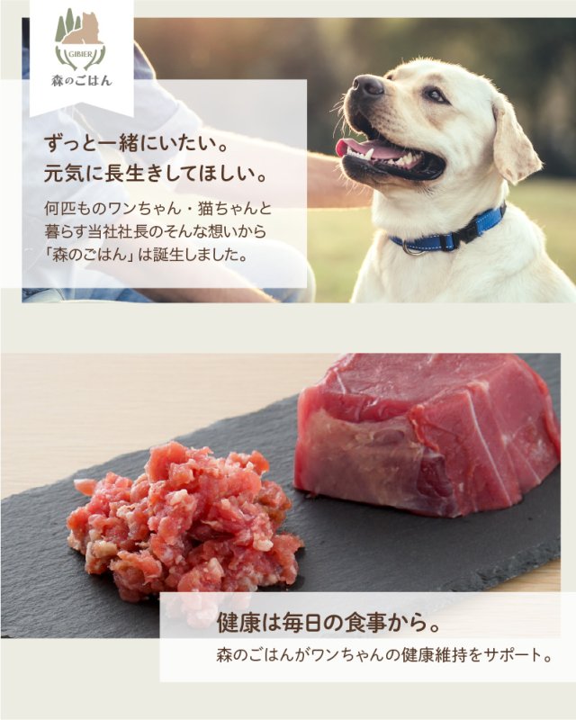 画像8: わんちゃん用／猪肉 生肉ミンチ 生肉ブロック 1kg〜10kg (8)