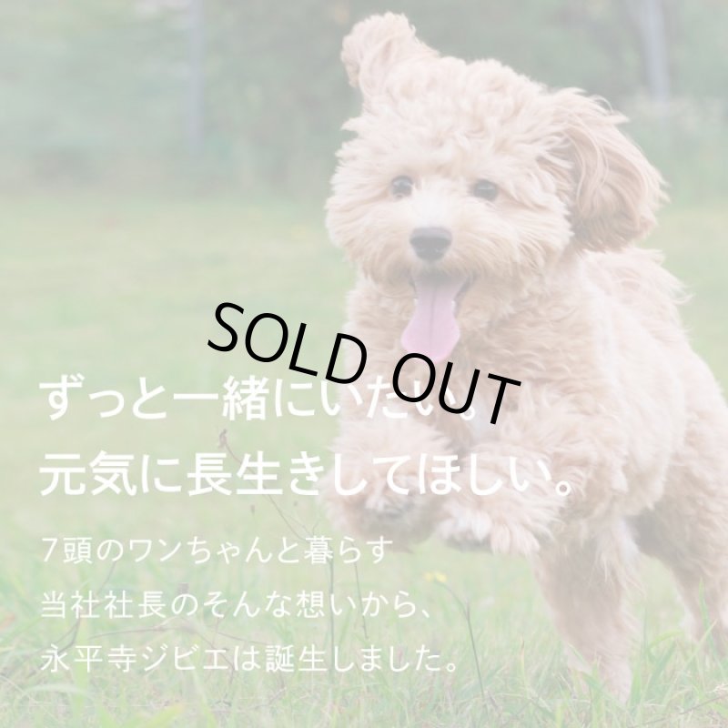 画像3: 鹿肉おためしセット　ペット用鹿肉／スライス 40ｇ+チップ35g+ふりかけ35g (3)