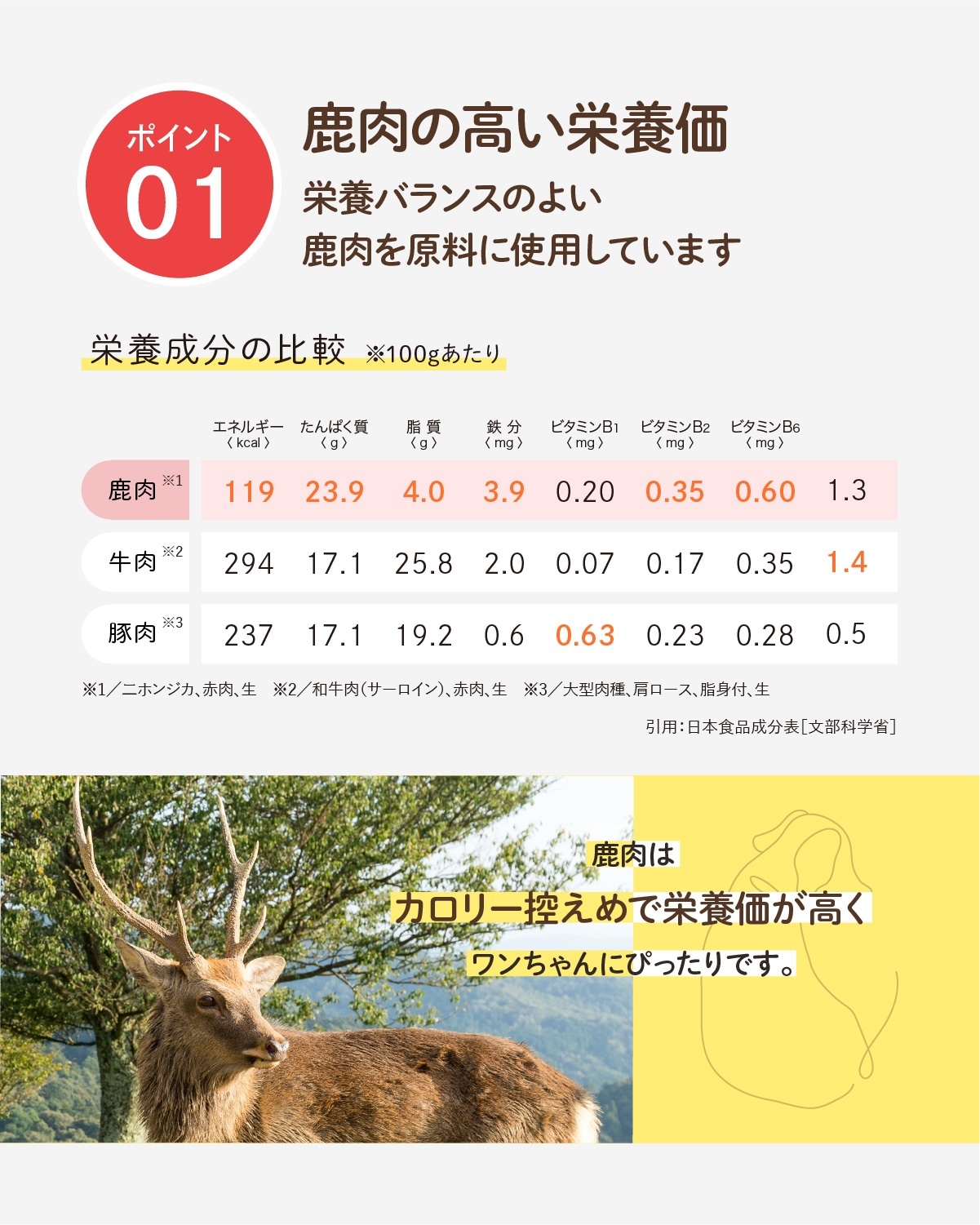 1.鹿肉の高い栄養価