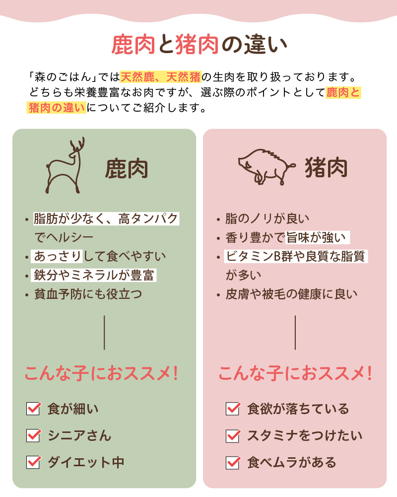 鹿肉と猪肉の違い